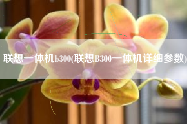 联想一体机b300(联想B300一体机详细参数)