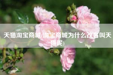 天猫淘宝商城(淘宝商城为什么改名叫天猫呢)