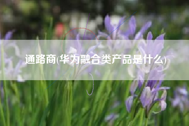 通路商(华为融合类产品是什么)