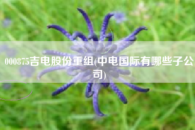 000875吉电股份重组(中电国际有哪些子公司)