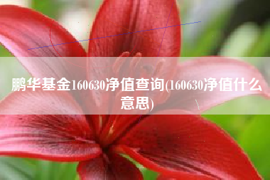 详细阅读:鹏华基金160630净值查询(160630净值什么意思) 鹏华基金160630净值查询(160630净值什么意思)
