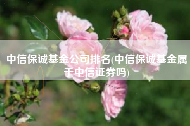 中信保诚基金公司排名(中信保诚基金属于中信证券吗)