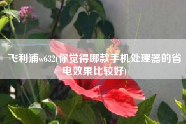 飞利浦w632(你觉得哪款手机处理器的省电效果比较好)