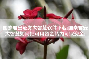 国泰君安证券大智慧软件下载(国泰君安大智慧如何把可用资金转为可取资金)