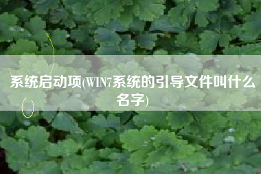 系统启动项(WIN7系统的引导文件叫什么名字)