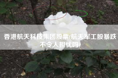 香港航天科技集团股票(航天军工股暴跌不令人担忧吗)