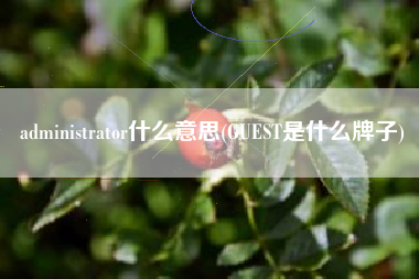 administrator什么意思(GUEST是什么牌子)