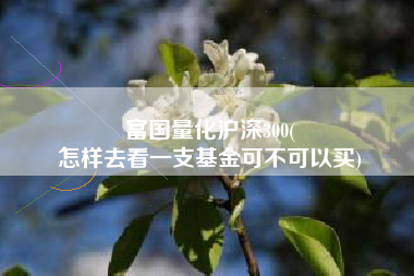 富国量化沪深300(
怎样去看一支基金可不可以买) 富国量化沪深300(
怎样去看一支基金可不可以买)