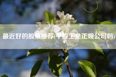 最近好的股票推荐(牛股王是正规公司吗)