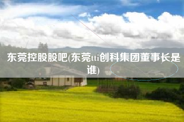 东莞控股股吧(东莞tti创科集团董事长是谁)