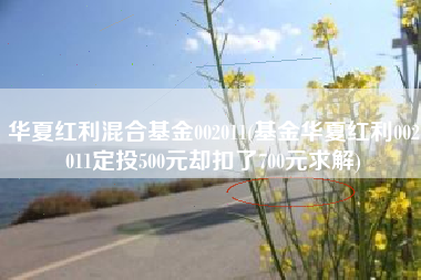 详细阅读:华夏红利混合基金002011(基金华夏红利002011定投500元却扣了700元求解) 华夏红利混合基金002011(基金华夏红利002011定投500元却扣了700元求解)