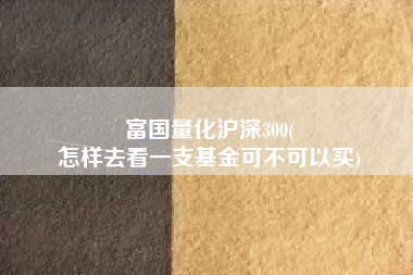 富国量化沪深300(
怎样去看一支基金可不可以买) 富国量化沪深300(
怎样去看一支基金可不可以买)