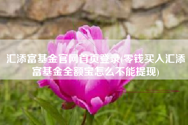 汇添富基金官网首页登录(零钱买入汇添富基金全额宝怎么不能提现)