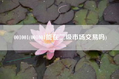 001001(001001能在二级市场交易吗)