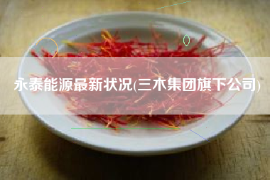 永泰能源最新状况(三木集团旗下公司)