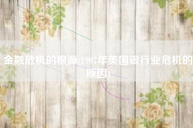金融危机的根源(1907年美国银行业危机的原因)