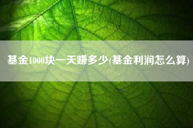 基金1000块一天赚多少(基金利润怎么算)