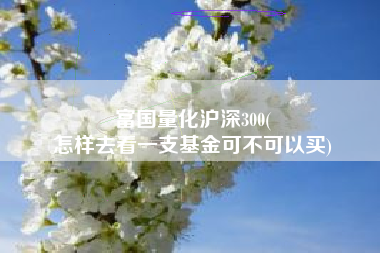 富国量化沪深300(
怎样去看一支基金可不可以买) 富国量化沪深300(
怎样去看一支基金可不可以买)