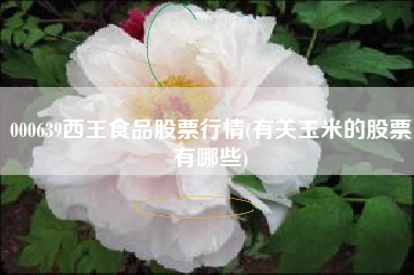 详细阅读:000639西王食品股票行情(有关玉米的股票有哪些) 000639西王食品股票行情(有关玉米的股票有哪些)