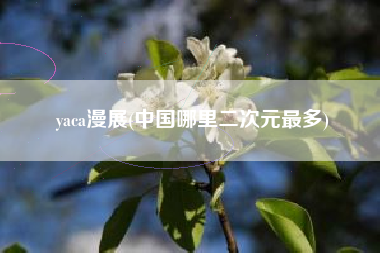 yaca漫展(中国哪里二次元最多)