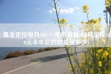 基金定投每月500 一年后收益(每月定投500元半年后的收益是多少)