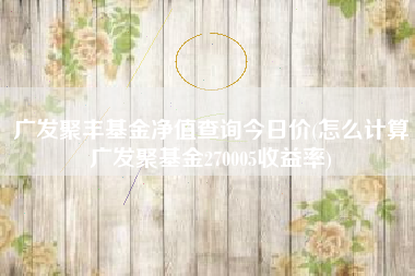 广发聚丰基金净值查询今日价(怎么计算广发聚基金270005收益率)