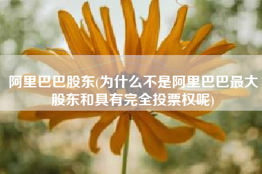 阿里巴巴股东(为什么不是阿里巴巴最大股东和具有完全投票权呢)