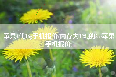 苹果4代16g手机报价(内存为128g的5se苹果手机报价)