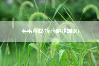 毛毛游戏(摸牌游戏规则)