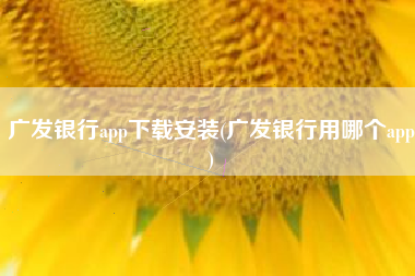 广发银行app下载安装(广发银行用哪个app)