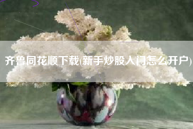 齐鲁同花顺下载(新手炒股入门怎么开户)
