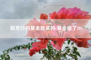 新发行的基金能买吗(基金涨了20)