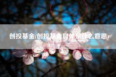 创投基金(创投基金具体是什么意思)