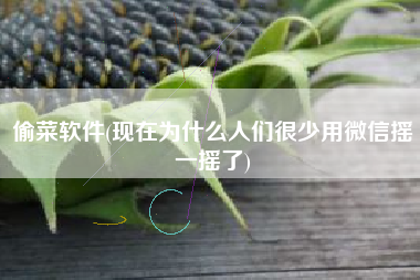偷菜软件(现在为什么人们很少用微信摇一摇了)