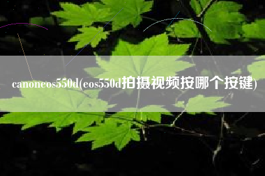 canoneos550d(eos550d拍摄视频按哪个按键)