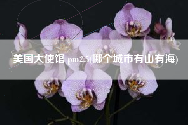 美国大使馆 pm2.5(哪个城市有山有海)