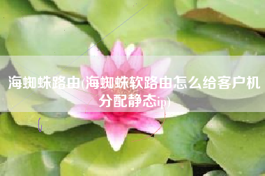 海蜘蛛路由(海蜘蛛软路由怎么给客户机分配静态ip)