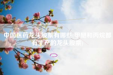 中国医药龙头股票有哪些(甲醚和丙烷都有生产的龙头股票)