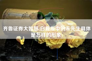 齐鲁证券大智慧(白鹿原中的朱先生具体是怎样的形象)
