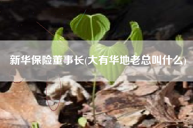新华保险董事长(大有华地老总叫什么)
