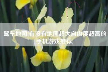 驾车地图(有没有地图超大自由度超高的手机游戏推荐)