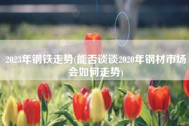 2023年钢铁走势(能否谈谈2020年钢材市场会如何走势)