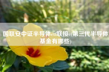 国联安中证半导体etf联接c(第三代半导体基金有哪些)