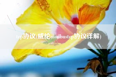 tcp协议(威纶modbustcp协议详解)