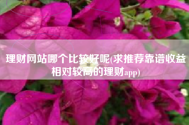 理财网站哪个比较好呢(求推荐靠谱收益相对较高的理财app)
