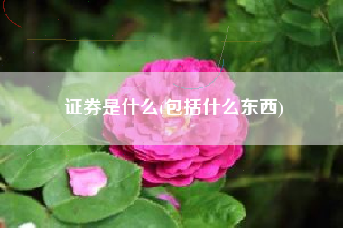 证券是什么(包括什么东西)
