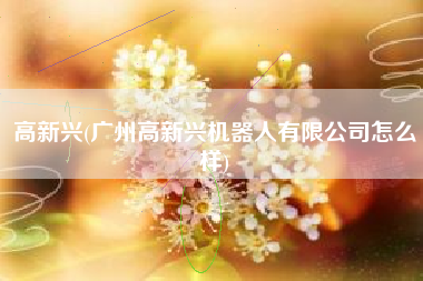 高新兴(广州高新兴机器人有限公司怎么样)