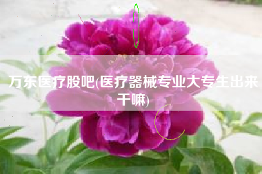 万东医疗股吧(医疗器械专业大专生出来干嘛)