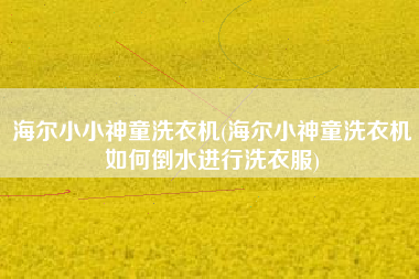 海尔小小神童洗衣机(海尔小神童洗衣机如何倒水进行洗衣服)