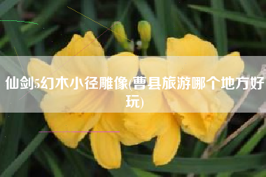 仙剑5幻木小径雕像(曹县旅游哪个地方好玩)